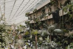 the inside of a building filled with lots of plants