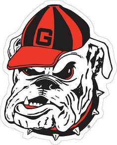 Uga Football, Uga Bulldogs, Ga Bulldogs, Georgia Dawgs, Georgia Bulldogs Football, Georgia Bulldog, Bulldog Mascot, Georgia Football, Bulldogs Football