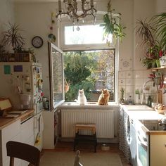 a living room filled with furniture and lots of plants on top of shelving units