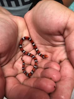 two hands holding small beads in the shape of a snake's head and tail