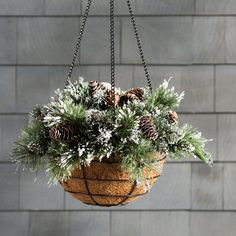 a hanging basket filled with pine cones and greenery