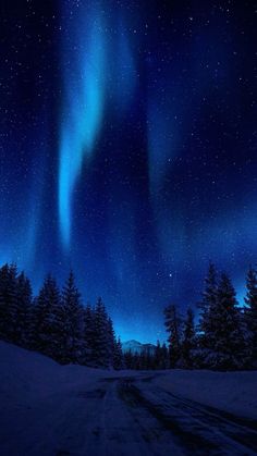 an image of the aurora bore in the night sky over trees and snow covered ground