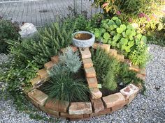 a garden area with various plants and rocks