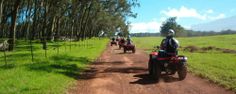 several people riding atvs down a dirt road