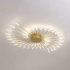 a circular light fixture in the middle of a white ceiling with lights on each side