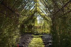 rows of wooden benches sitting under a metal structure