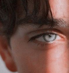 Male Hero Aesthetic, Silver Eyes Aesthetic, Fae Aesthetic Male, Wriothesley Aesthetic, Male Vampire Aesthetic, Male Fae Aesthetic, Brown Hair And Grey Eyes, Blue Eyes Aesthetic, Light Blue Eyes