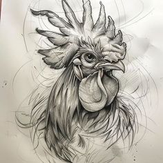 a drawing of a rooster with feathers on it's head