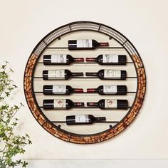 a wall mounted wine rack with six bottles on it and a potted plant next to it