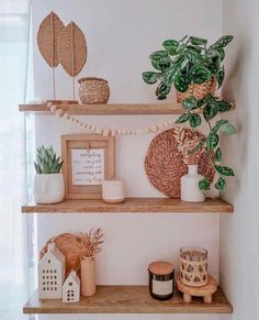 some shelves with plants and pictures on them