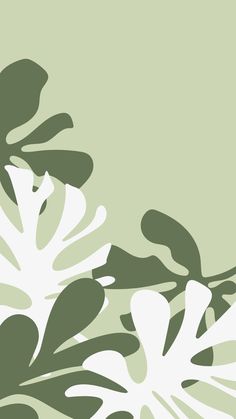 an abstract green and white background with leaves