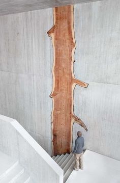 a man walking up some stairs in front of a wooden tree trunk on the wall