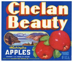 Vintage, Unused CHELAN BEAUTY Apple Fruit Crate Label || Wenatchee, Washington Wenatchee Washington, Washington Apple, Lake Chelan