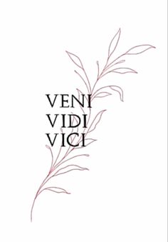 the words vein vidi vici written in black on a white background