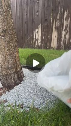 a person holding a plastic bag near a tree