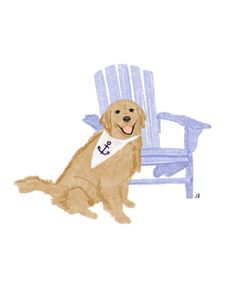 a brown dog sitting on top of a blue chair with a white shirt around it's neck