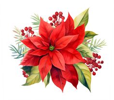 a red poinsettia with green leaves and berries