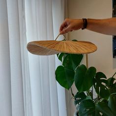 a person holding a bamboo umbrella next to a potted plant on a window sill