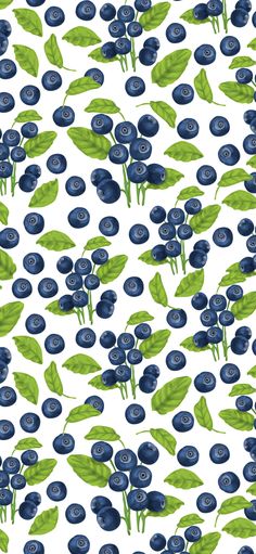 blueberries and leaves on a white background