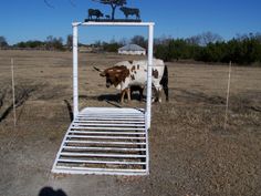 there is a cow standing in the middle of a field next to a metal bed