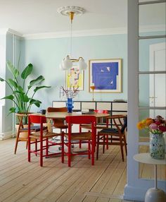 a dining room with blue walls and wooden floors is pictured in this image, there are several chairs around the table