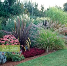 a garden filled with lots of different types of flowers