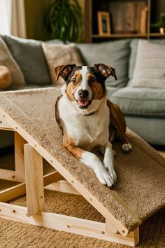 a dog laying on top of a wooden table in front of a couch and coffee table