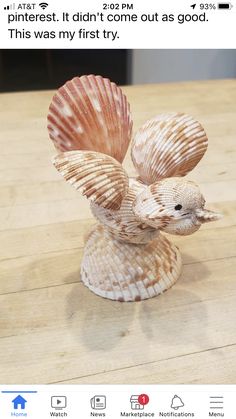 a seashell is sitting on top of a wooden table next to an instagram post