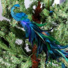 a blue and green bird sitting on top of a pine tree