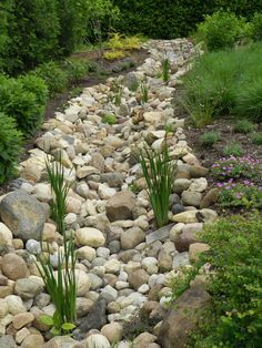 a garden with rocks and plants growing on the side of it's path, surrounded by greenery