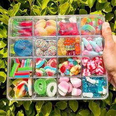 a plastic container filled with lots of candy