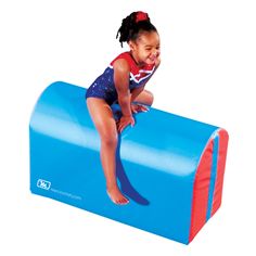 Mancino Gym Mailbox Gymnastic Classes, Preschool Gym, Martial Arts Mats, Toddler Gym, School Kids Activities, Dream Gym