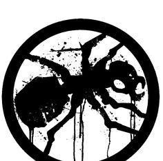 a black and white image of a spider in a circle