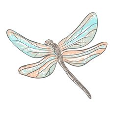 a drawing of a dragonfly sitting on top of a white surface with blue and pink colors