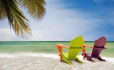 two colorful chairs sitting on top of a sandy beach next to the ocean with a palm tree