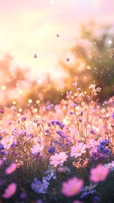 purple flowers and butterflies in the sunlight with blurry sky behind them on a sunny day