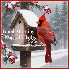 a cardinal sitting on top of a birdhouse in the snow with a pine cone