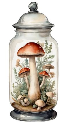 a glass jar filled with lots of mushrooms