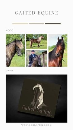 the logo and business card for gaithed equine