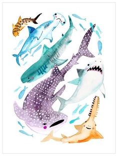 an image of sharks and other animals in watercolor on white paper with fish around them