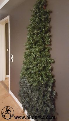 a tall green tree sitting in the corner of a room next to a doorway and door