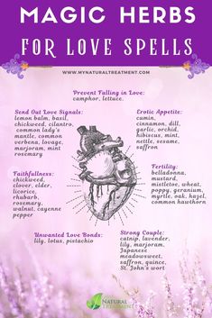 Herbs For Love Spells, Herbs For Love, Love Magick, Hoodoo Magic, White Magic Spells, Potions Recipes, Easy Love Spells, Magickal Herbs