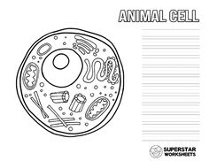 an animal cell is shown in black and white with the words animal cell on it