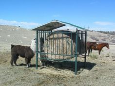 three horses are eating hay out of a trough in the middle of an open field