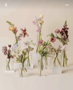 a group of vases filled with different types of flowers