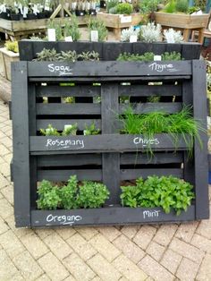 a wooden pallet filled with lots of different types of plants and herbs in it