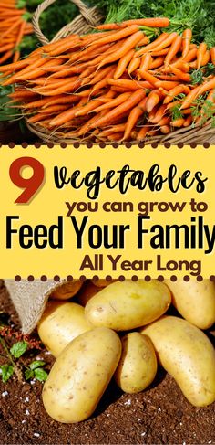 several different types of vegetables with text overlay that reads 9 vegetables you can grow to feed your family all year long