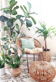 some plants are sitting in wicker baskets on the floor next to a chair and ottoman