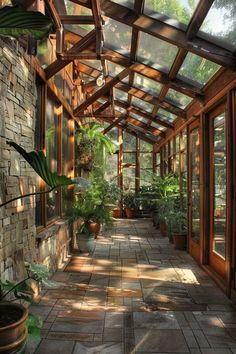 the walkway is lined with potted plants and stone walls, along with large windows