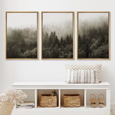 three black and white pictures hang on the wall above a bench with baskets underneath it